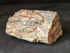2lb 9.9oz Gray and Red Petrified Wood from Northeastern Arizona picture
