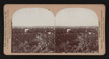 Photo:Santa Ana Valley California 1900 Panorama Landscape State View picture