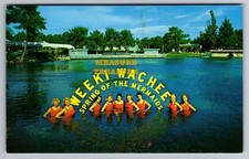 C.1950 ST. PETERSBURG, FL WEEKI WACHEE SPRING OF THE MERMAIDS Postcard Q10 picture