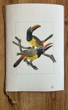 VARIG AIRLINES 1987 Menu  - Toucan Bird Cover Brazil - VG Condition picture