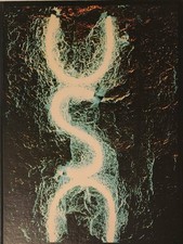 1983 Volunteer Yearbook- University School of Nashville - Nashville, Tennessee picture