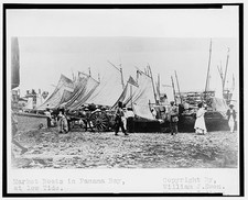 Photo:Panama Bay Panama 1908 Market Boats at Low Tide Waterfront People picture