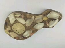 Vintage Acrylic Lucite Sea Shell Sealife Spoon Rest Paperweight 8