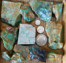 1 Kg Rough Turquoise no grade Saw Botttoms Blue Silver Mine Tonopah NV Lot C picture