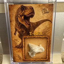 T-REX Authentic Tooth Fossil Relic Card Pieces of the Past 2026 Series 1 #2 picture