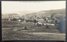Postcard Real Photo Birdseye View Wellsbridge New York Houses 1910s picture