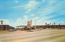 Galveston TX Gaido Motel Exterior Roadway View Vintage Cars Chrome Postcard picture