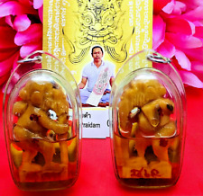 Chuchok Horn Casino Win Millionaire Wealth Rich Magic Oil Perm Thai Amulet 15691 picture