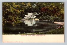 North Water Gap PA-Pennsylvania, Buttermilk Falls, Vintage Postcard picture