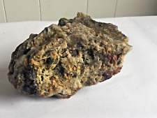 green brown  petrified conglomerate specimen raw natural fossil picture