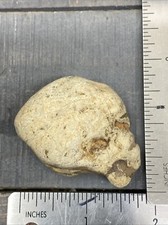 Natural Skull Shaped Rock White Vintage picture