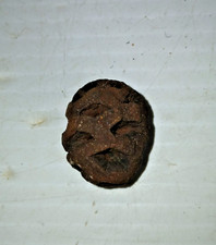 Sequoia Dakotensis Cretaceous Pine Cone Fossil Hell Creek Formation Montana picture