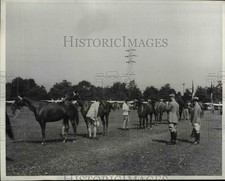1937 Press Photo Polo pony show at Meadow Brook Club in NY - net23875 picture
