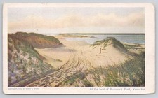 Nantucket Hummock Pond Beach Dunes 1904 Henry S. Wyer Postcard Posted 1905 picture