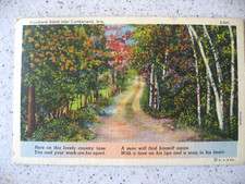 Vtg C. T. & Co Post Card - Woodland Scene Near Cumberland, WI - Posted 1941 picture
