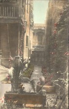 New Orleans LA Rue St. Louis Courtyard c1900s-10s Tinted Real Photo Postcard picture