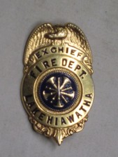 vintage fireman badge obsolete EX CHIEF LAKE HIAWATH gold-tone eagle detail picture