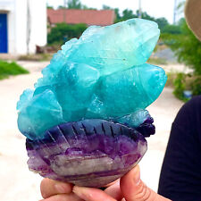 1.7LB Natural Purple green fluorite  crystal hand carved shoal of fish healing picture