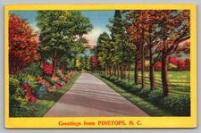 A Scenic Country Road Scene  