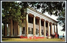 Postcard The Forks Of Cypress Florence, Alabama James Jackson   S67 picture