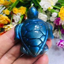 Natural Labradorite tortoise Quartz Skull Crystal Sea Turtle Reiki Healing Gift picture
