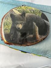 Bear Cub Picture Wood Tree Section Tennessee picture