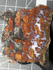 High Quality Wingate Plume Agate Death Valley Old Stock Rare Polished Specimen picture