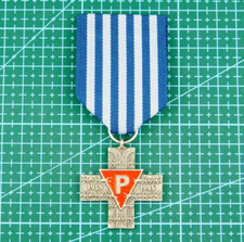 4201 WW2 RP AUSCHWITZ HOLOCAUST SURVIVOR CROSS MEDAL POLAND JEWISH picture