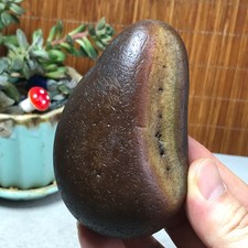 267g natural Bonsai Suiseki Gobi Agate Eyes Stone-Stunning original View A7851 picture