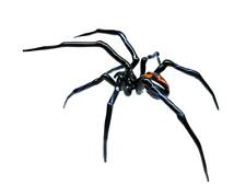 Glass Hand-Blown Glass Spider Collectible Figurine Glass Spider Figurine  picture