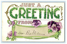 1911 Just A Greeting from New Baltimore Violet and Green Floral Postcard picture