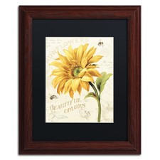 Trademark Fine Art Under The Sun II Black Wood Frame 11x14 picture