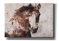 Epic Graffiti Brown 2 Gorgeous Horse Irena Orlov Canvas 26x18 picture
