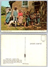 Continental Hillbilly Family Portrait Postcard picture