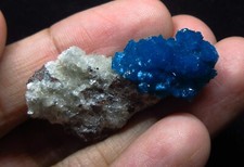 Cavansite on matrix (non-precious natural stone) # 1264 picture