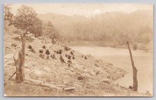 RPPC Postcard Little Bear Lake c1904-18 AZO  picture