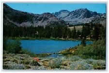 c1960 Scenic View Little Virginia Lake California CA Vintage Antique Postcard picture