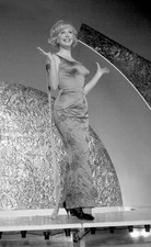 Kathy Kirby will sing the selected British entry for the Eurovisi 1965 Photo picture