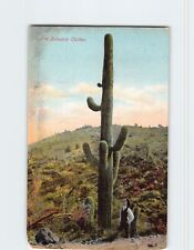Postcard The Suhuara Cactus picture