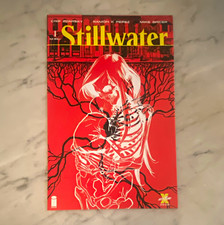 Stillwater #1 1st Print Image Comic 2020 Zdarsky Very Nice Book See Pics picture