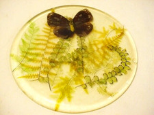 VTG Acrylic Lucite Hot Pad Clear Green Ferns Butterfly 8” MCM Round Hot Plate FS picture
