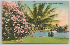 Vintage Postcard Oleanders and Palm Shaded Lagoon Florida 1939 St Petersburg picture