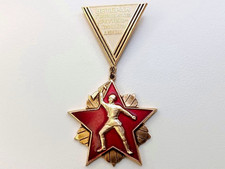 Soviet Russian Badge 