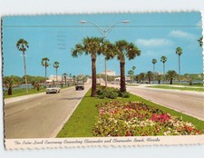 Postcard Palm Lined Causeway Clearwater Beach Florida FL Vintage Cars Flowers picture