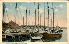 Gloucester Massachusetts MA Fish Wharf c1900s-10s Vintage Postcard picture