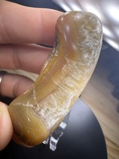 Polished Banded Agate Palm Stone 2.1 OZ Crowley’s Ridge Warm Bands/ showpiece  picture