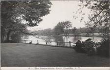 Susquehanna River Unadilla New York NY Lawn Fence Trees RPPC EKC 1940s Postcard picture