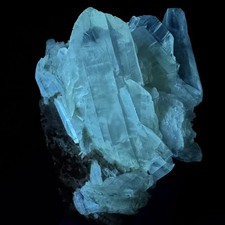 Gypsum var. Selenite: Dämmelwald clay pit, Wiesloch, Baden-Württemberg, Germany picture