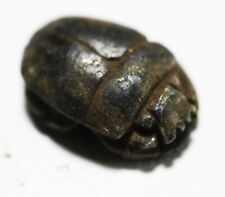 ZURQIEH -AS22814- ANCIENT EGYPT. NEW KINGDOM. LAPIS BUTTON SCARAB. 1300 B.C picture