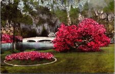 Magnolia Gardens, Charleston, South Carolina Hand-Colored Vintage Postcard picture